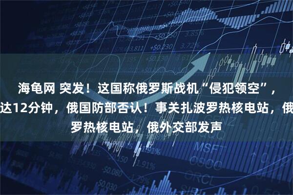 海龟网 突发！这国称俄罗斯战机“侵犯领空”，战机停留长达12分钟，俄国防部否认！事关扎波罗热核电站，俄外交部发声