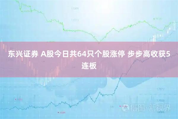 东兴证券 A股今日共64只个股涨停 步步高收获5连板