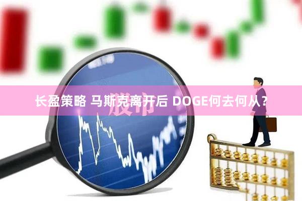 长盈策略 马斯克离开后 DOGE何去何从？