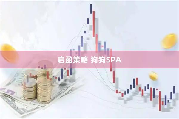 启盈策略 狗狗SPA
