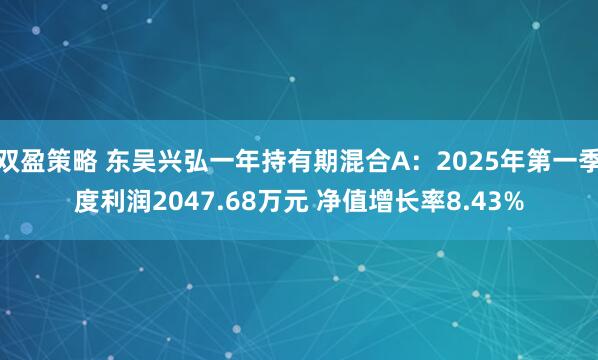双盈策略 东吴兴弘一年持有期混合A：2025年第一季度利润2047.68万元 净值增长率8.43%