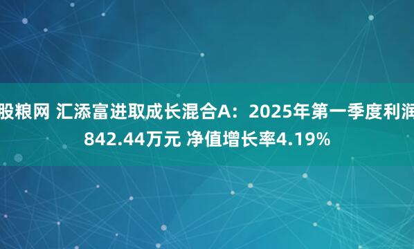 股粮网 汇添富进取成长混合A：2025年第一季度利润842.44万元 净值增长率4.19%
