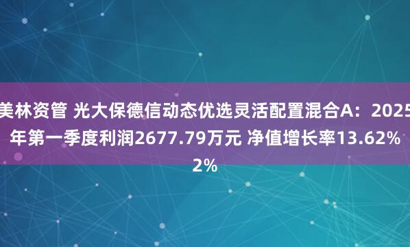 美林资管 光大保德信动态优选灵活配置混合A：2025年第一季度利润2677.79万元 净值增长率13.62%