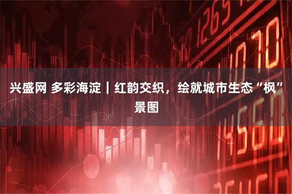 兴盛网 多彩海淀｜红韵交织，绘就城市生态“枫”景图